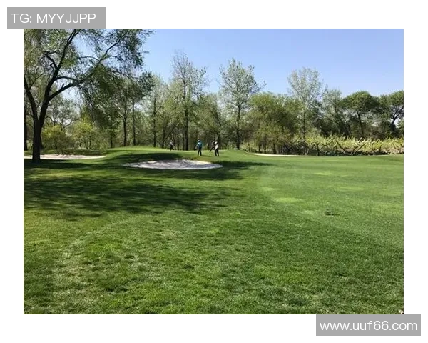 李军独家分享篮球心得与技巧提升之道助你成为球场明星